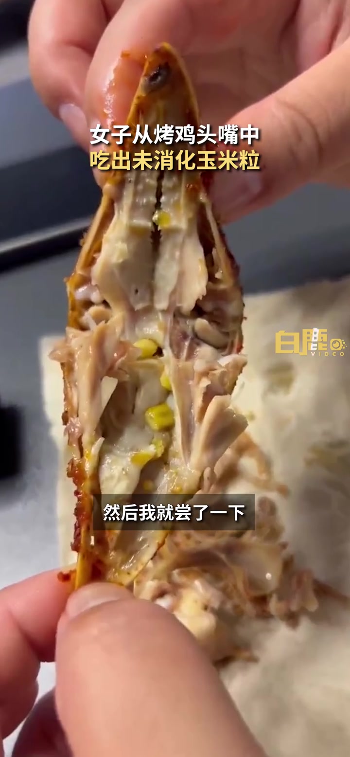 「“进口”玉米粒?!女子从烤鸡头嘴中吃出未消化鸡食」5月12日,辽宁沈阳。苗女士在吃烤鸡头