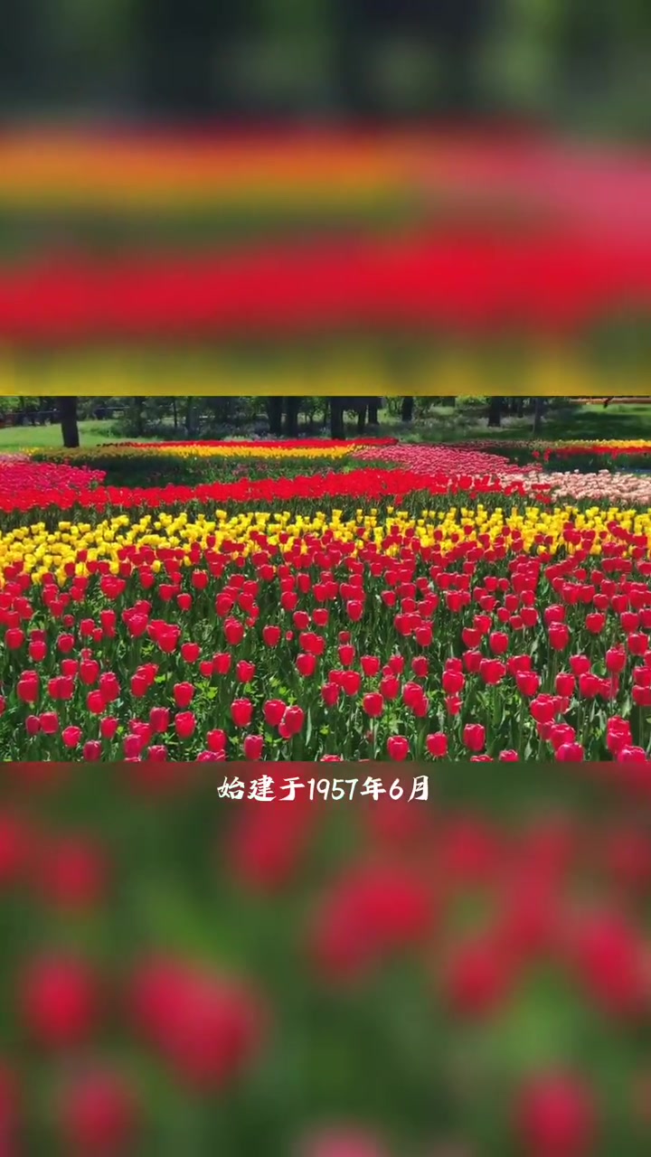 畅游黑龙江 总要来一趟双鸭山吧,逛一逛北秀公园的景色 黑龙江生态之旅 519中国旅游日