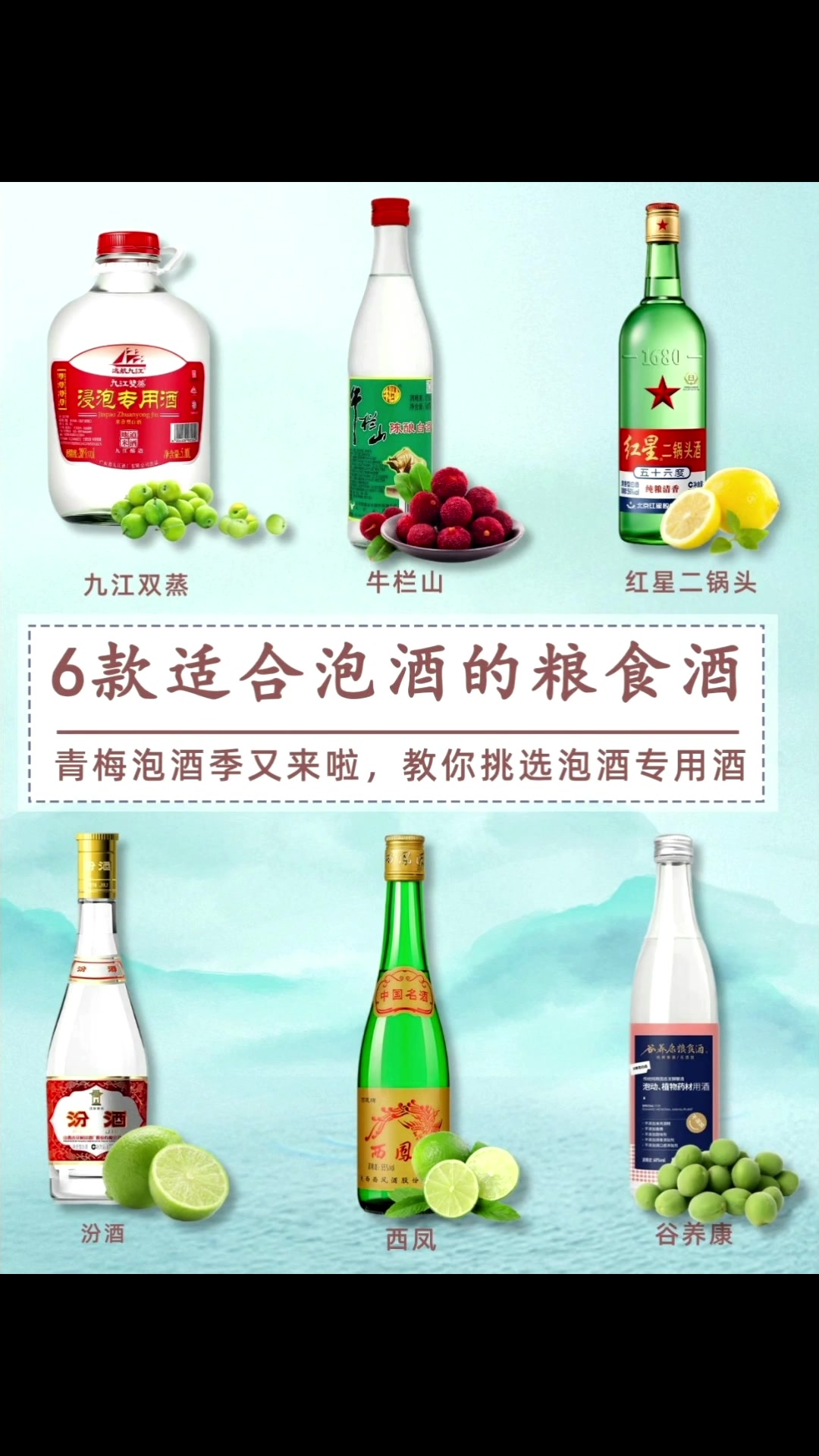 6款适合泡酒的粮食酒