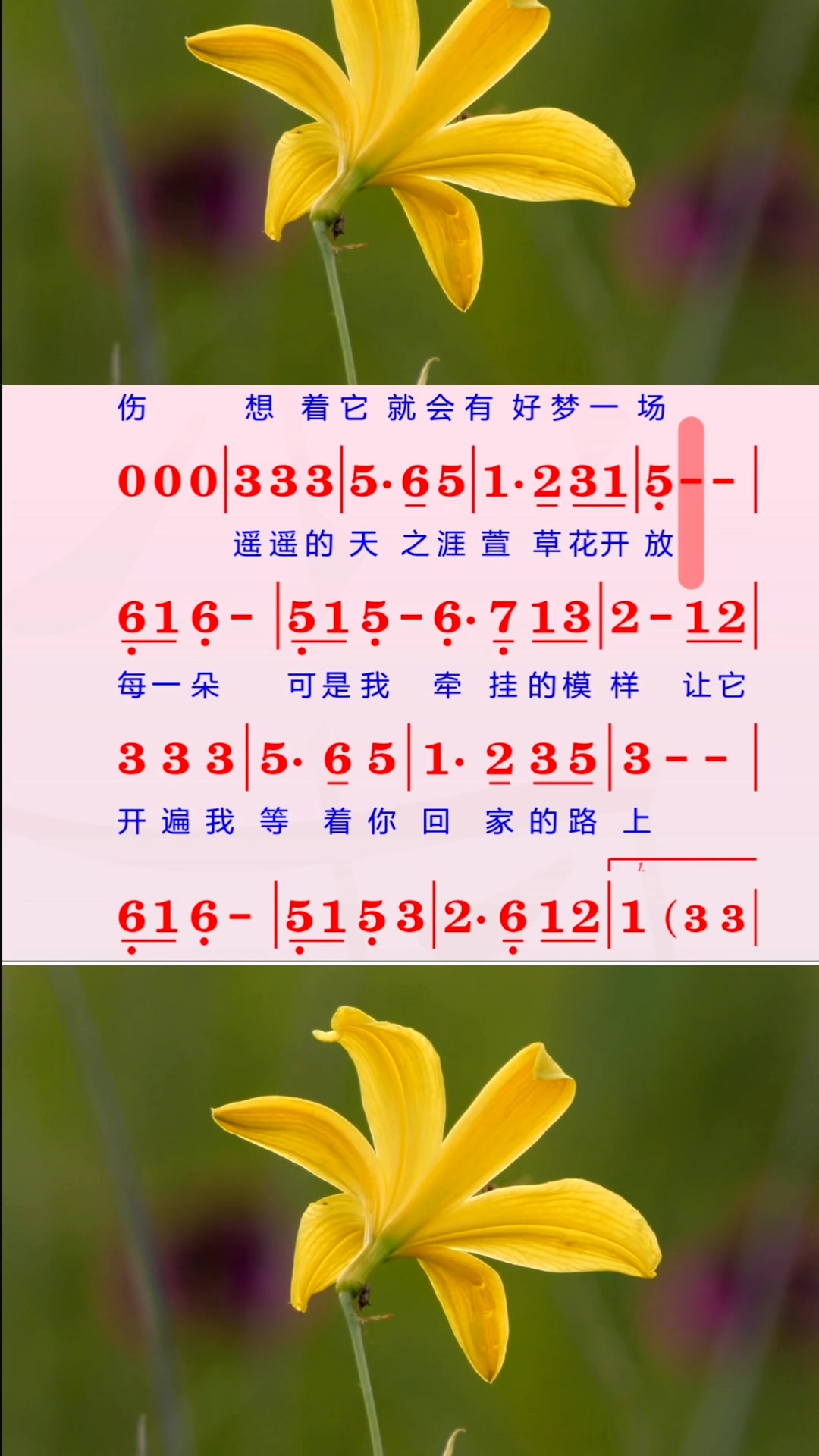 《萱草花》有声动态简谱(完整版),快乐轻松跟光标唱谱!