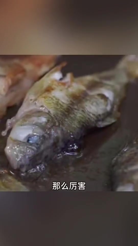 小小禾花鱼～太好味啦～美食 吃货 太好吃了 鱼