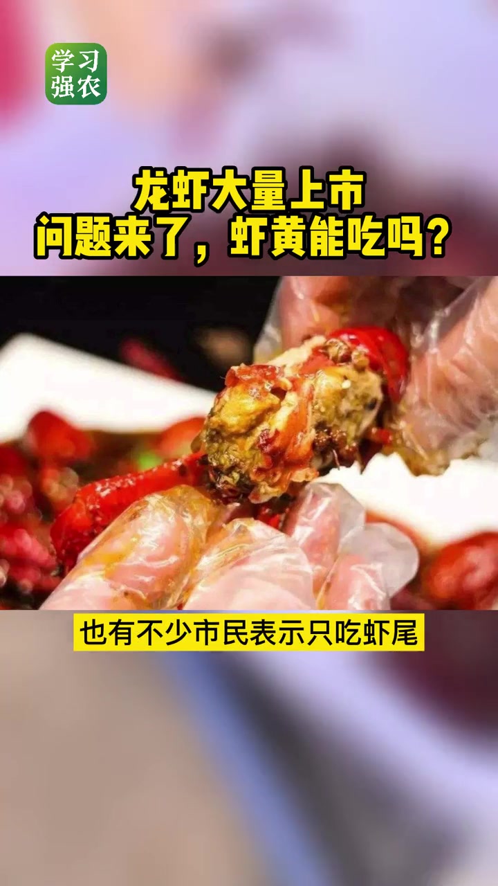 小龙虾 大量上市,问题来了,虾黄能吃吗?虾黄到底能不能吃