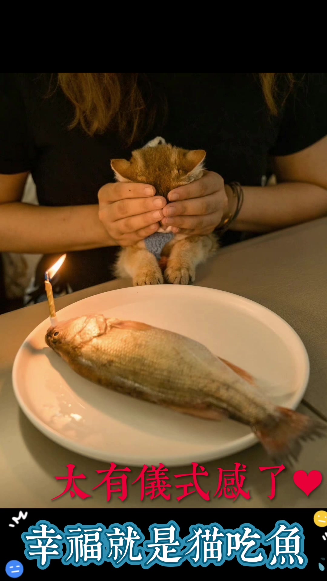 世界上最远的距离莫过于你就在我眼前我却不能亲吻你,鱼兄啊!