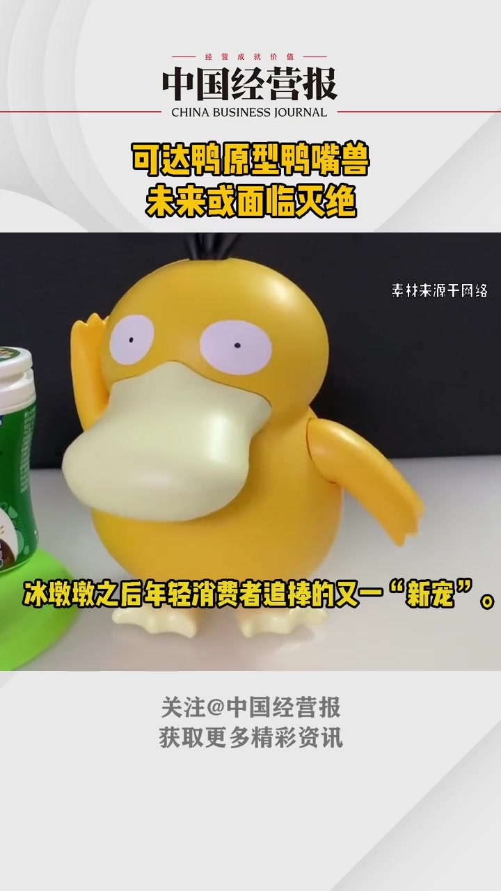 魔性可达鸭爆红，但它的原型鸭嘴兽可能面临灭绝？可达鸭原型或濒临灭绝 可达鸭 热门