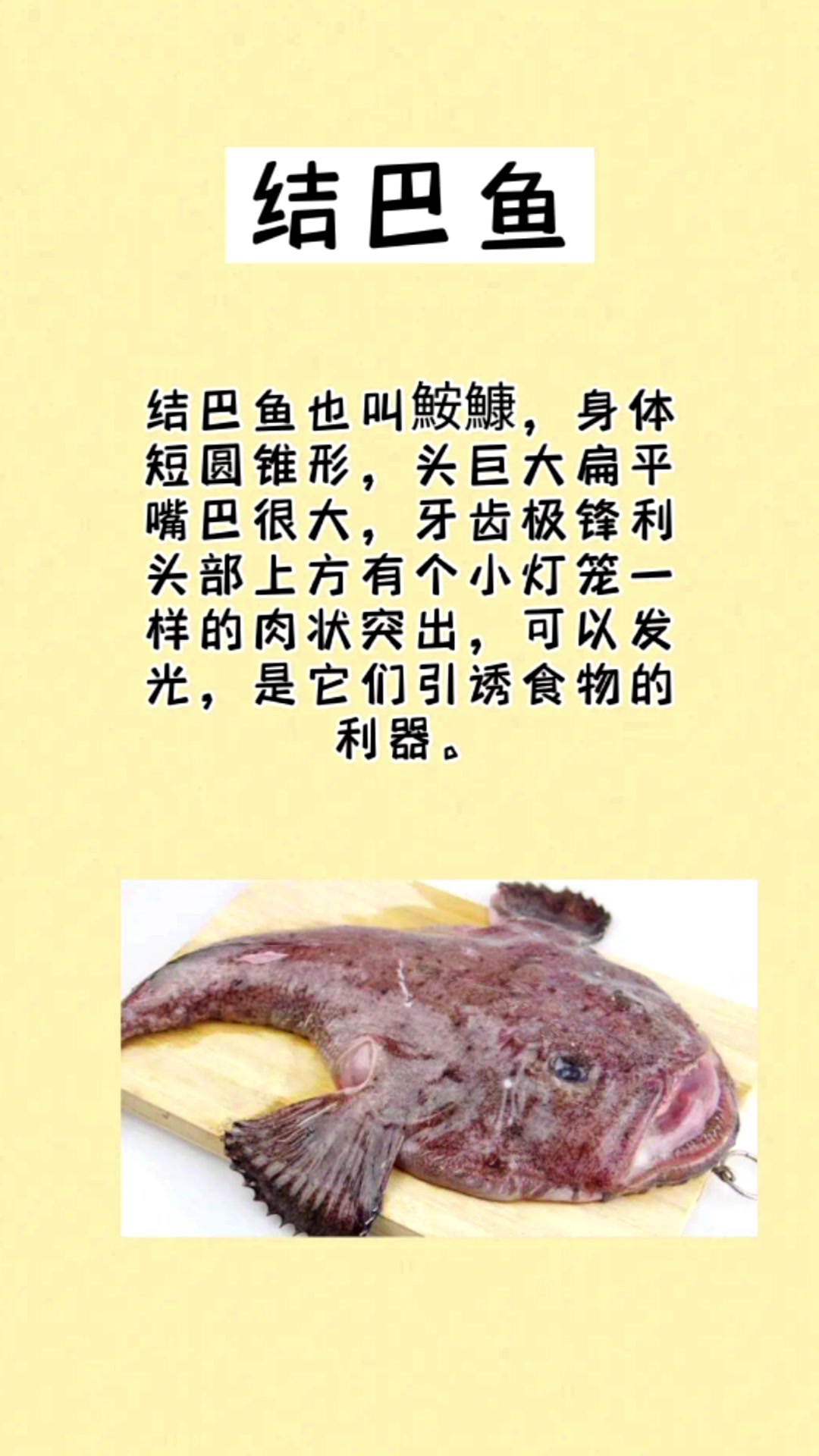 涨知识:深海最可怕的鱼,你见过几种?