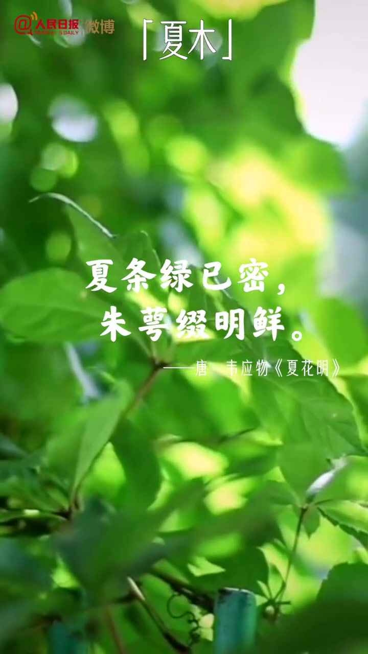 「古风之美!24句诗词品味夏天」如果用一句话形容夏天,你会怎么说?古人笔下的夏,有“鱼戏莲