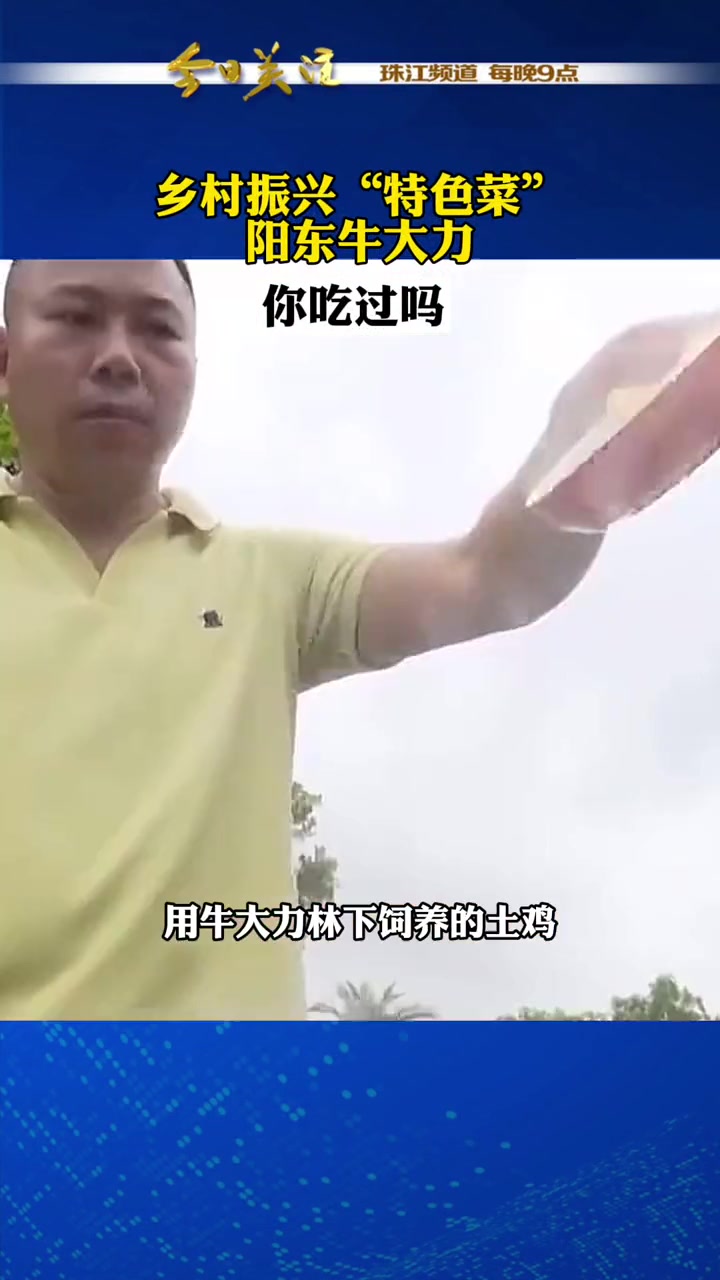 牛大力有着壮腰健肾、舒筋活络和补虚润肺的功效。不仅可以煲汤,还可以用来炒菜和做甜品。阳江市