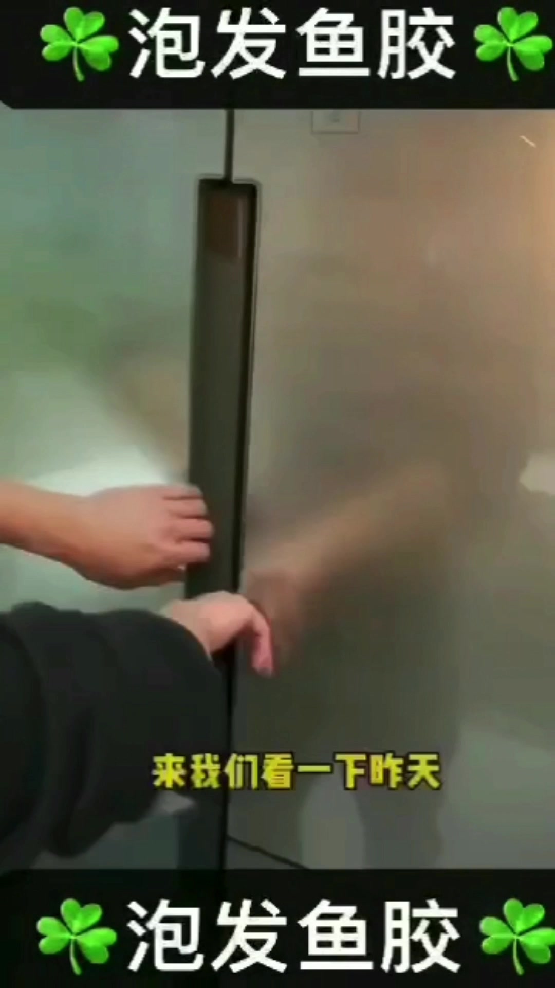 不知道怎么泡发鱼胶的看过来去腥味可以加陈皮十姜十葱 家庭靓汤