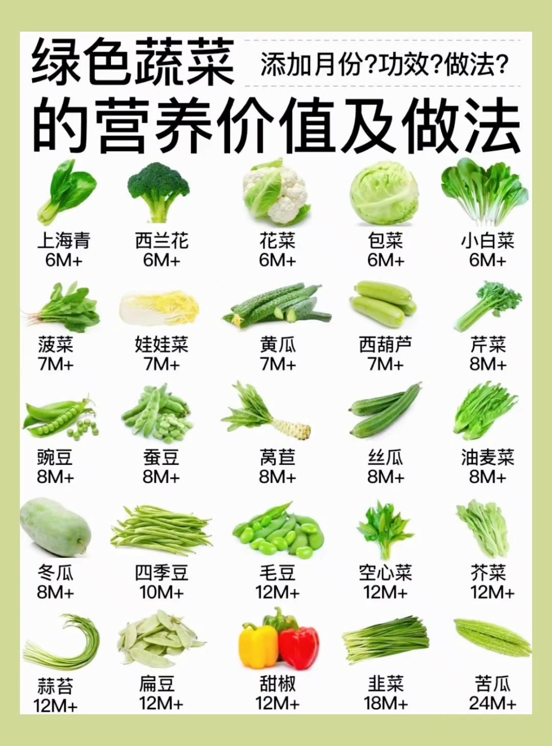 绿色蔬菜的营养价值及做法