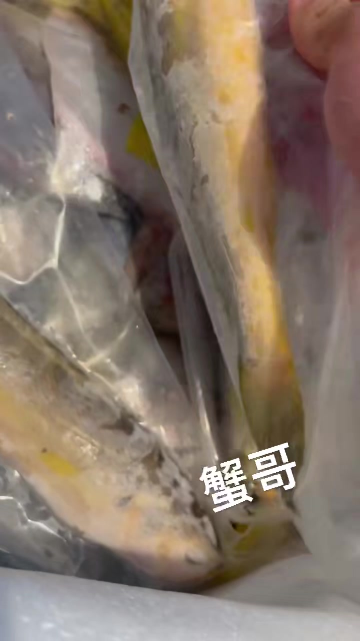 油带鱼、梅童鱼、鲳鱼、米鱼、野生大黄鱼等各类野生海货