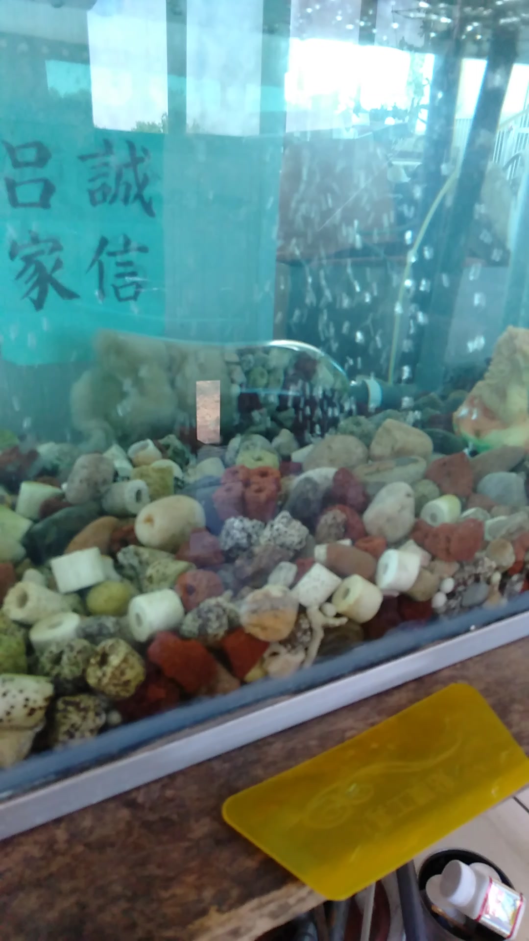 方法简单,制作方便——鱼缸里的珍珠泉