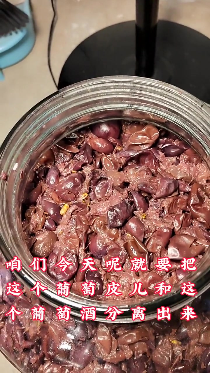 自己怎么酿造葡萄酒