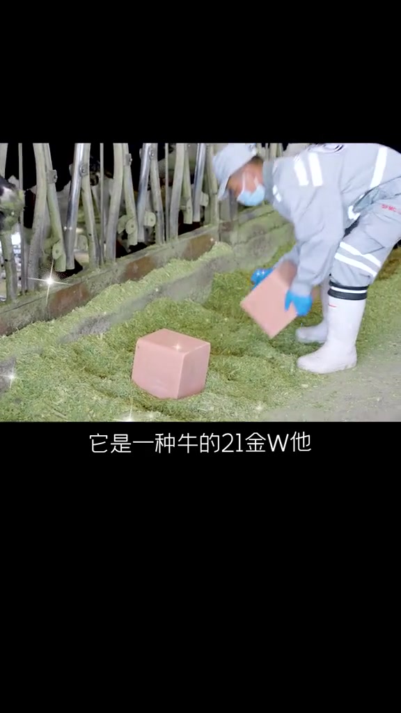 娃喝的牛奶到底咋来的?!看完视频真的羡慕了!牛奶 涨知识