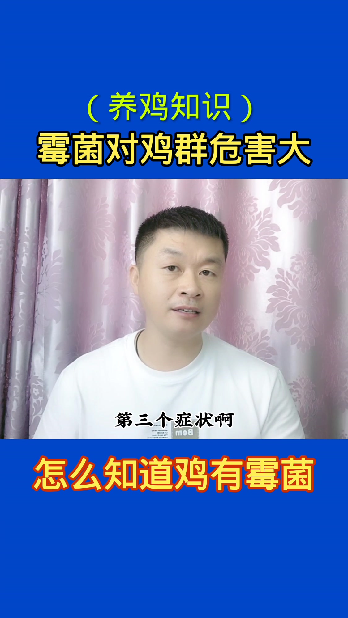 霉菌对鸡群危害大,怎样知道有霉菌呢?