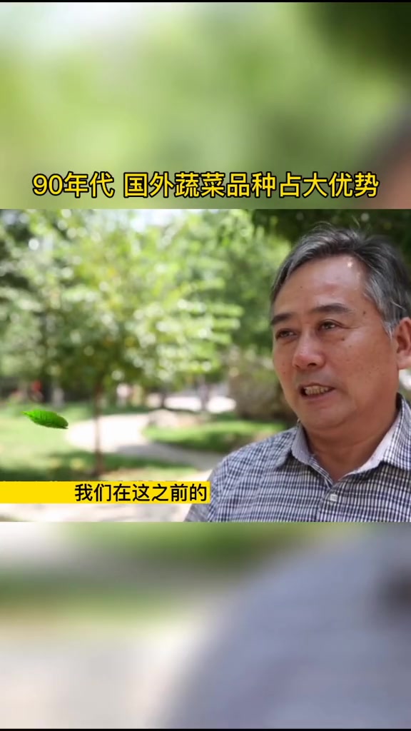 国内蔬菜育种在90年代受到冲击 蔬菜