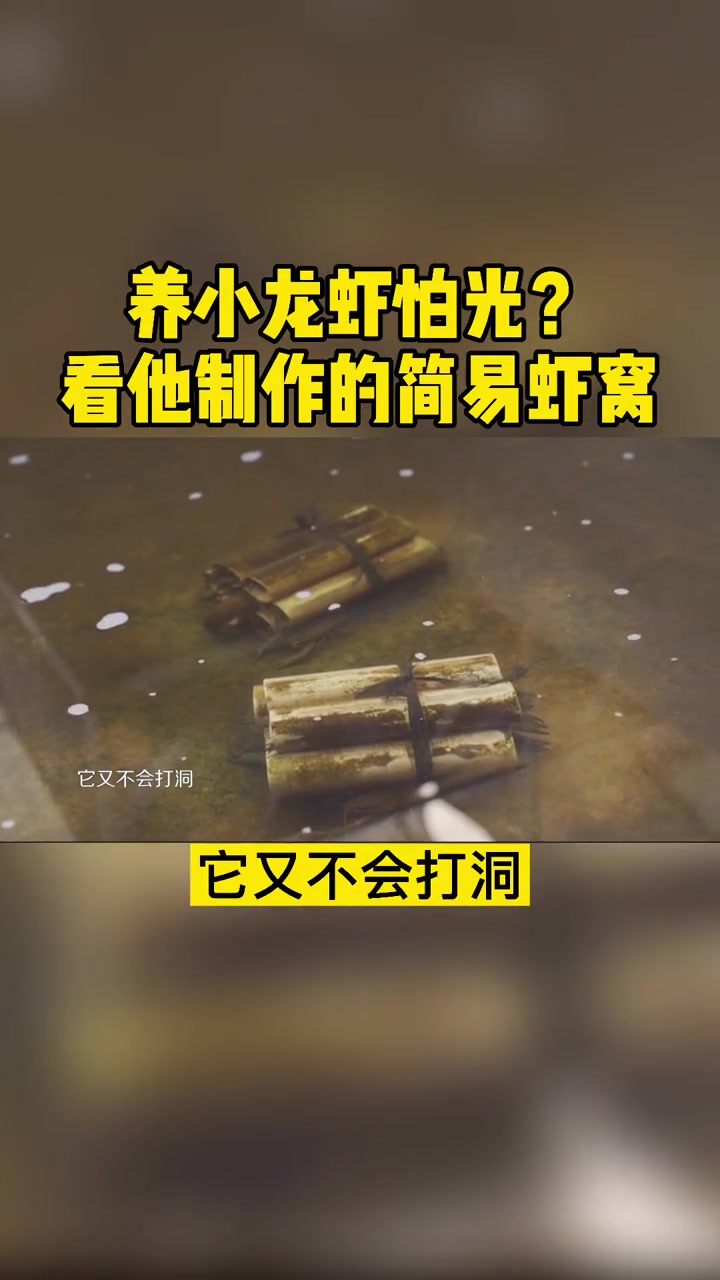 养小龙虾喜暗怕光?看他用管子制作的简易虾窝 小龙虾