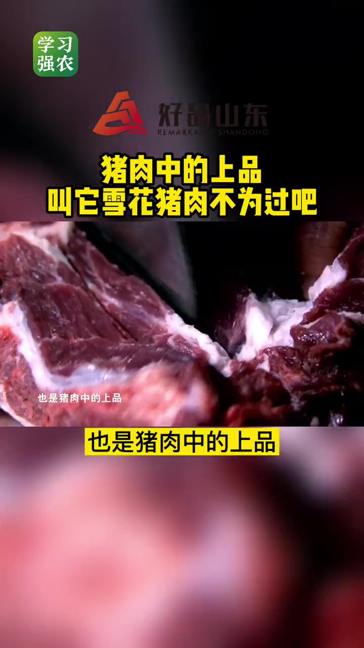 第177集|猪肉中的上品,叫它雪花猪肉不为过吧 莱芜黑猪 好品山东