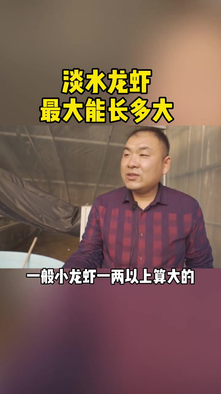 淡水 龙虾 最大能长多大?
