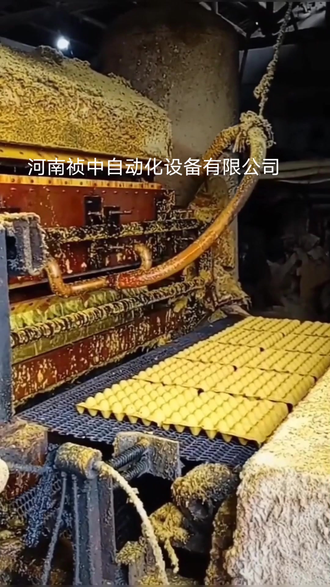 做鸡蛋托的设备多少钱一台,蛋托机厂家批发价格,大中小型蛋托机