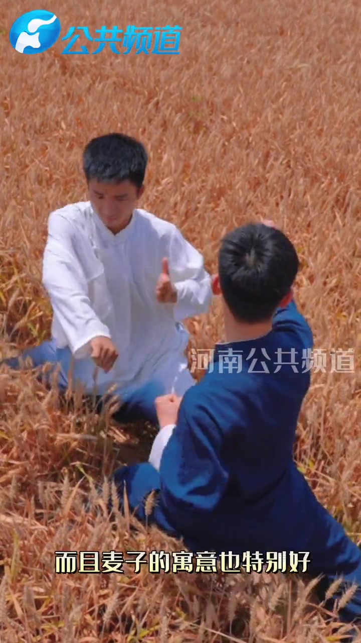 太极拳传人打拳为考生加油 芒种时节逢高考,芒种是收获的日子,陈氏太极拳传人打拳为考生们加油