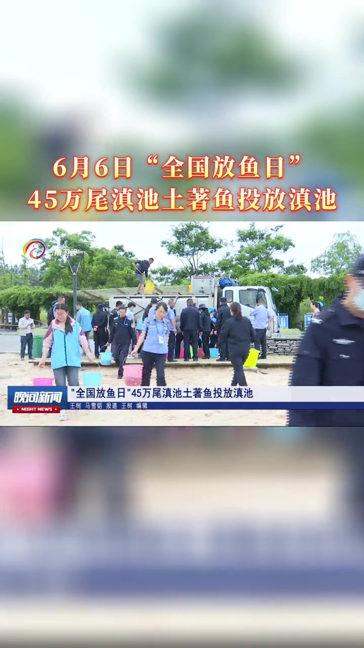 6月6日,第八个“全国放鱼日”,45万尾滇池土著鱼投放昆明滇池