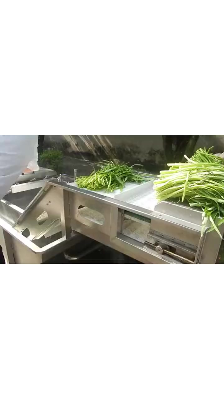 洗菜机|杀菌消毒 不残留 不破坏 驰能商厨设备 驰能厨房设备 餐饮老板 驰能洗菜机