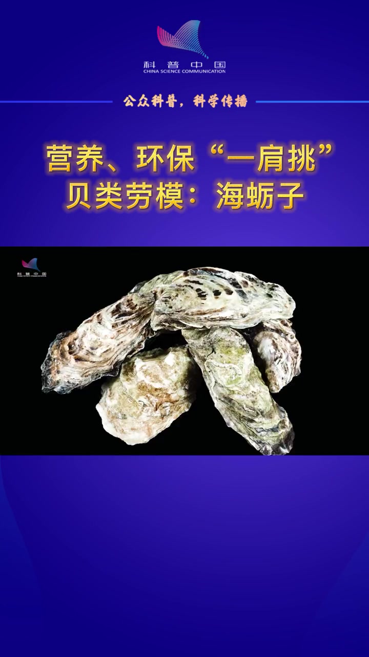 营养、环保“一肩挑”的贝类劳模:海蛎子 世界海洋日 自然 科普 生态