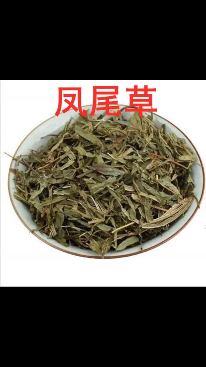 民间中草药:凤尾草