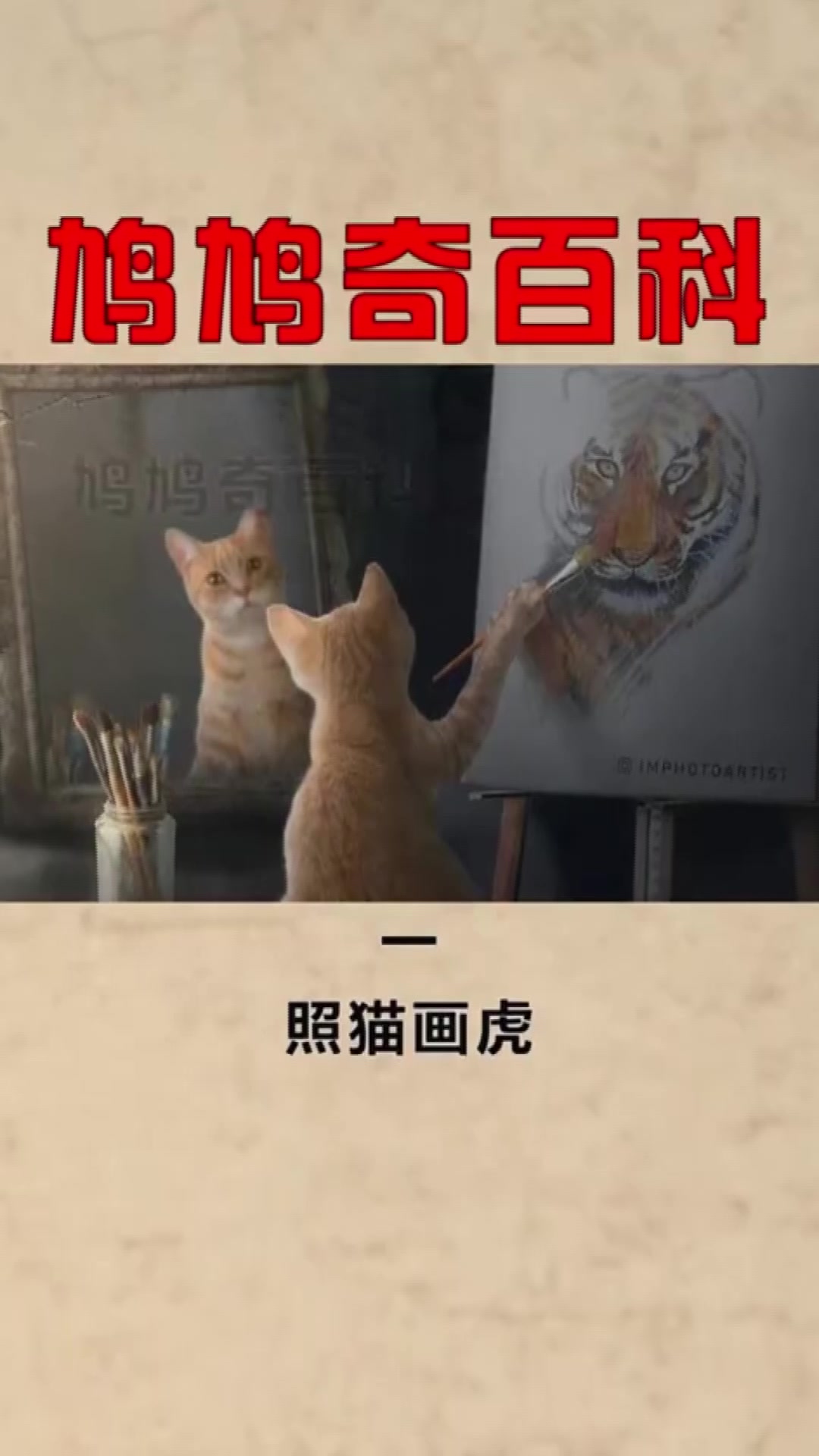 冷知识大全:发人深省的数字插画,不切实际的梦想,冷知识