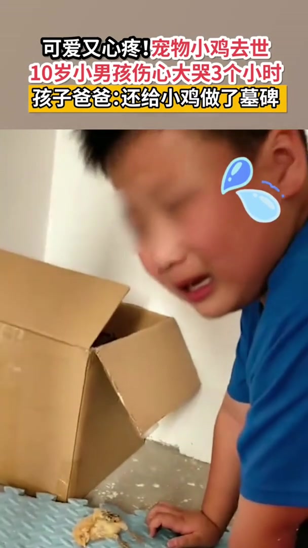 宠物小鸡去世小男孩伤心大哭3小时。孩子爸爸:还给小鸡做了墓碑