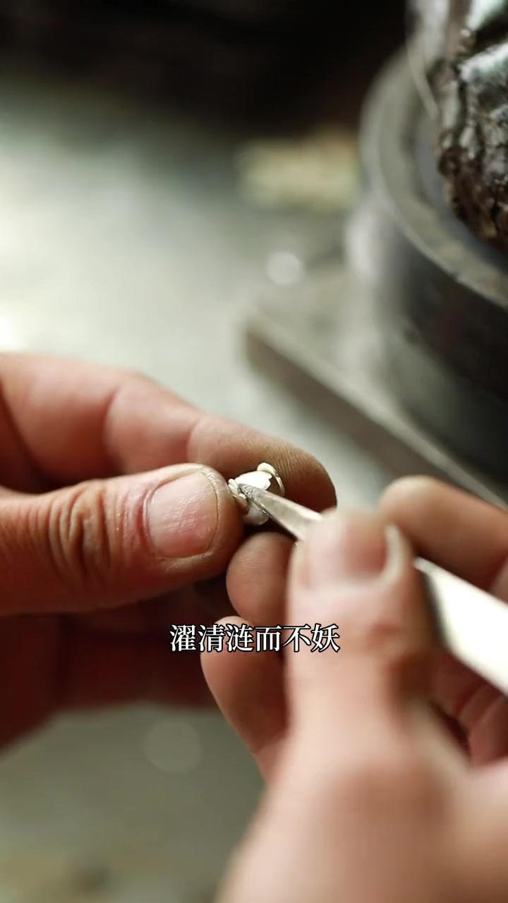 第95集|荷花花语:我永远只属于你,不用质疑我对你的爱,属于你的,我一点都不会分给任何人。