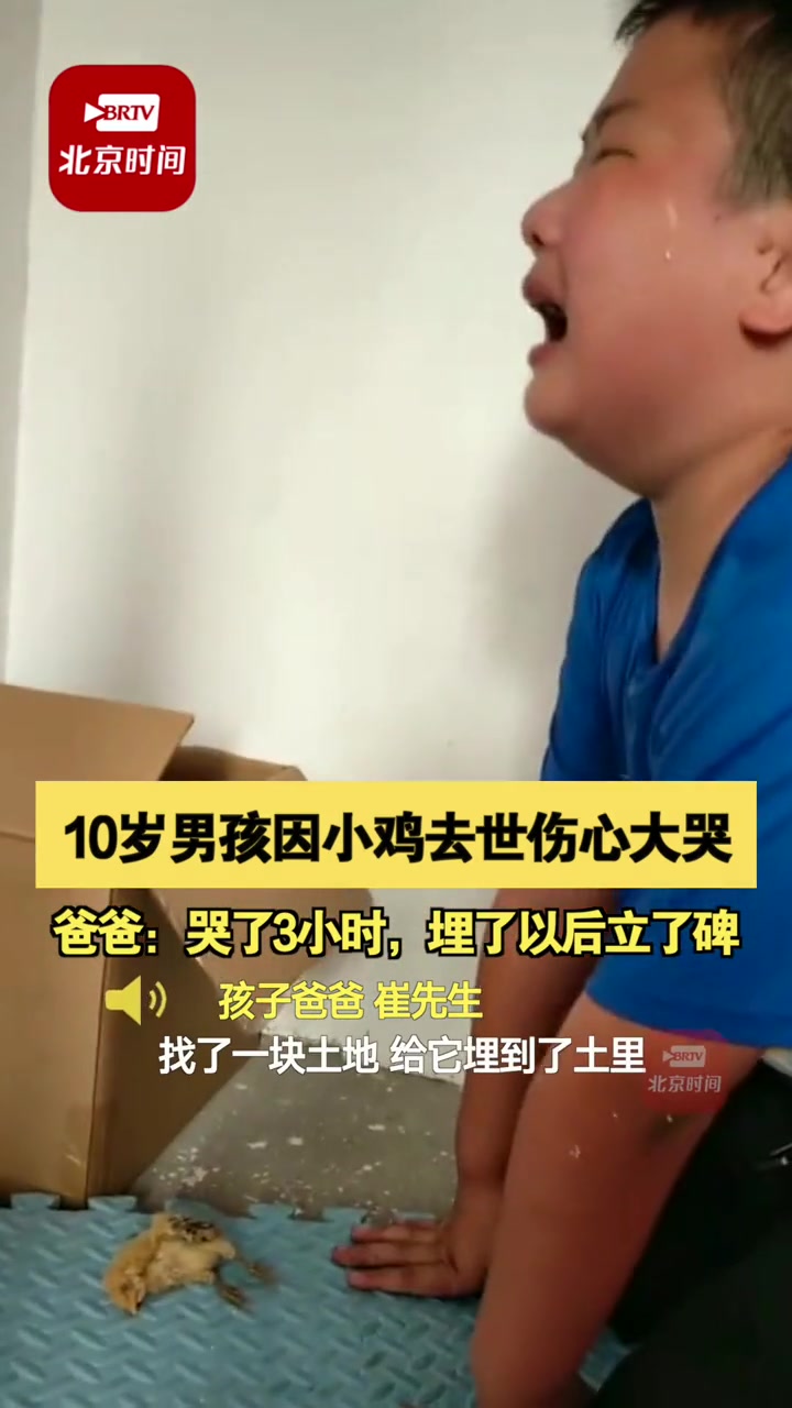 6月12日,江苏徐州 宠物鸡去世10岁小男孩伤心大哭3个小时 孩子爸爸:他不愿意把小鸡扔垃