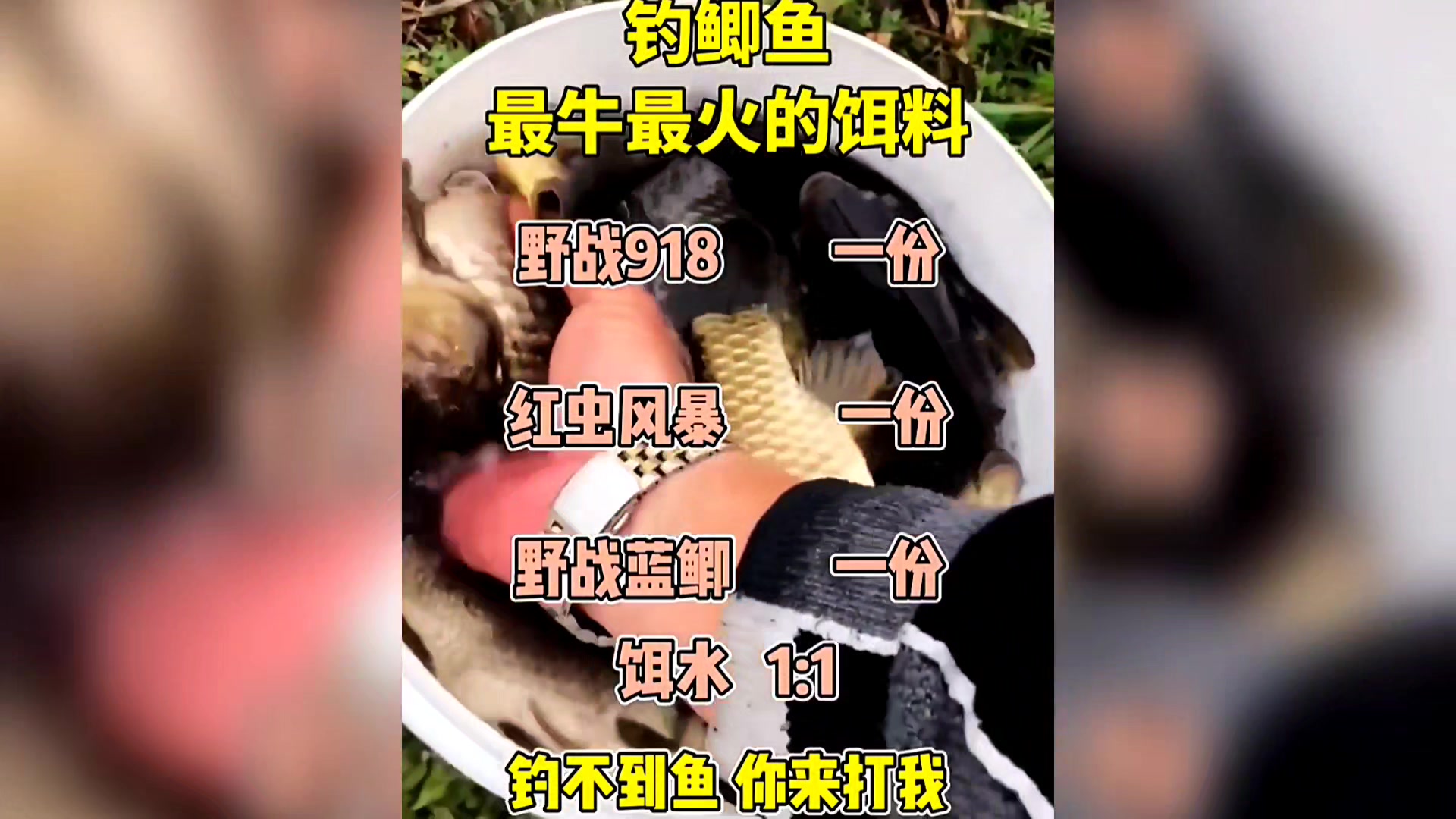 最火的鲫鱼饵料配方。