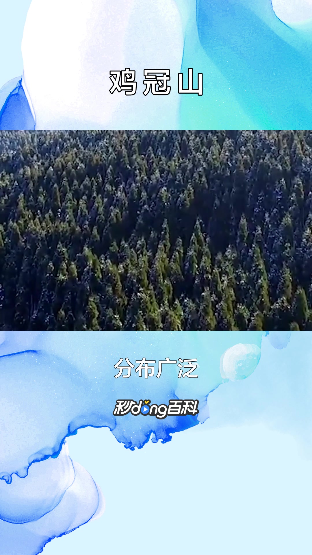 一分钟了解四川崇州鸡冠山