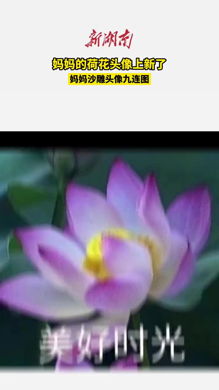 妈妈的荷花头像上新了 妈妈沙雕头像九连图