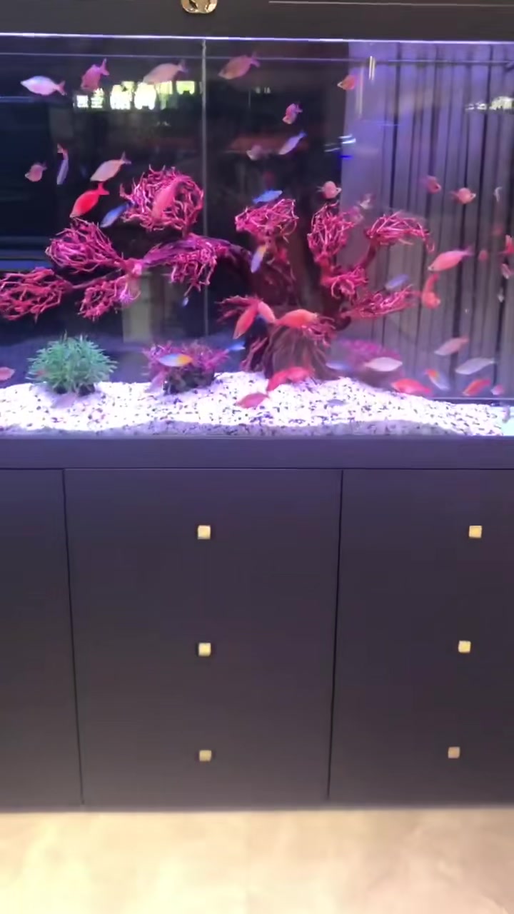 爱唯希—I WISH,可丽爱旗下品牌鱼缸