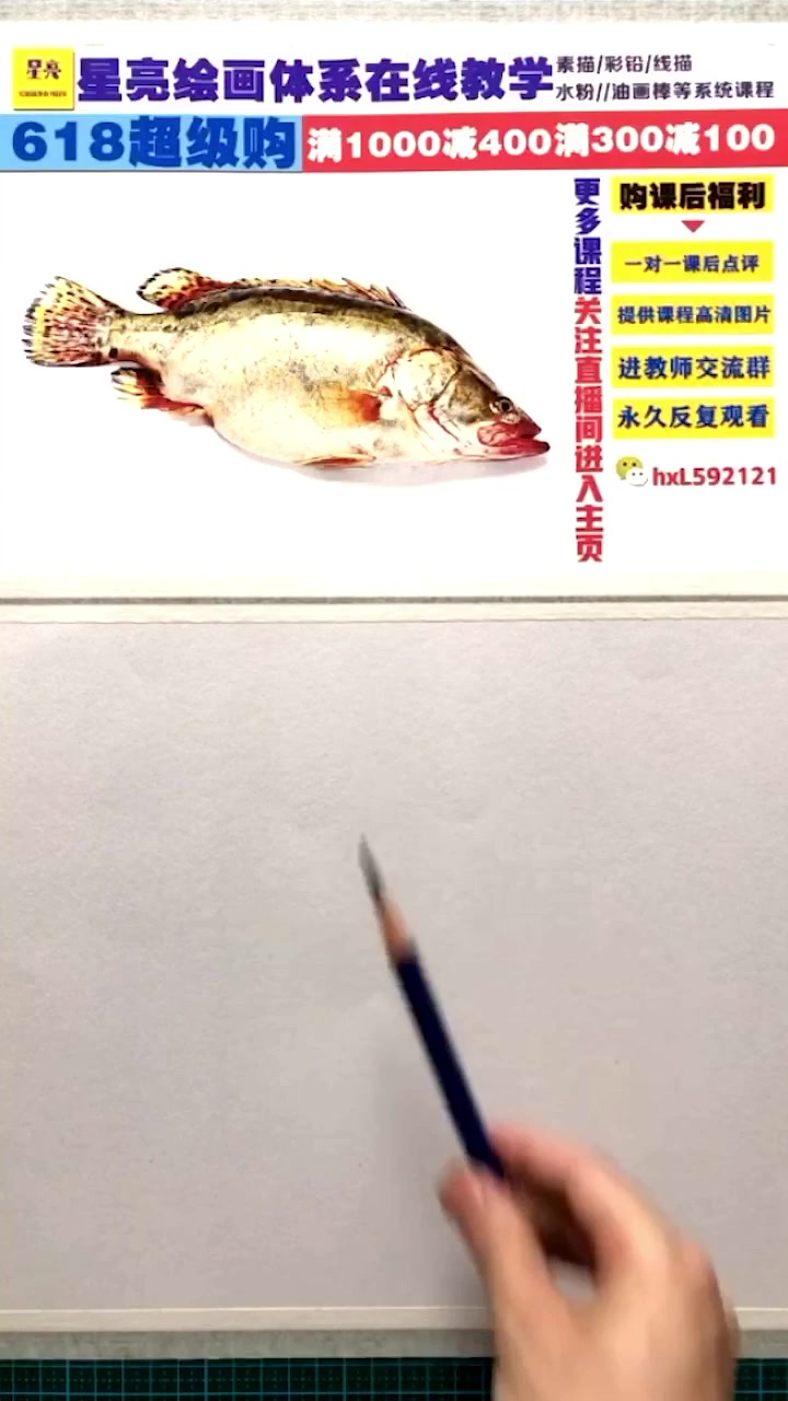 素描动物绘画鲑鱼