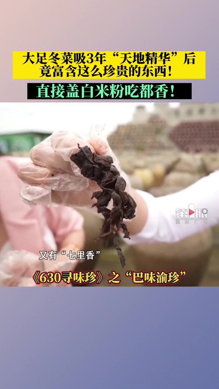 历经三年自然发酵的大足冬菜,吸“天地精华”后富含珍贵的氨基酸和酵素!即食拌饭、冬菜肉丝、冬