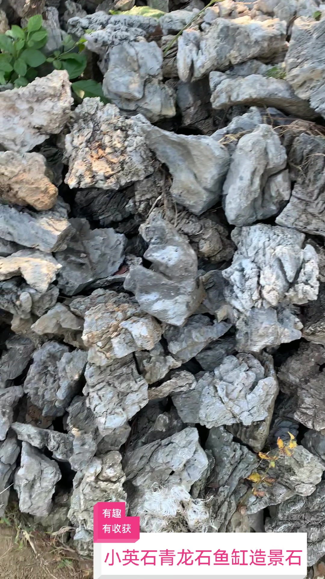 小英石青龙石鱼缸庭院假山流水堆砌效果造景石
