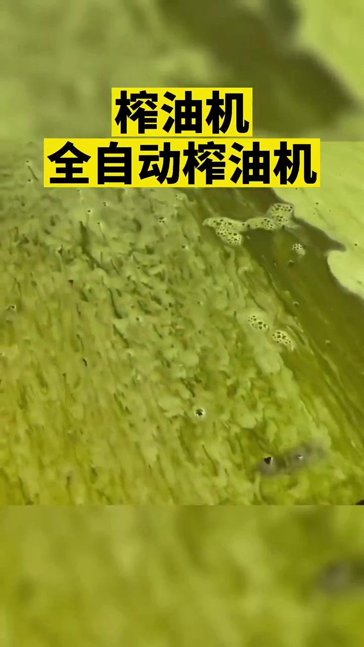 全自动菜籽榨油机