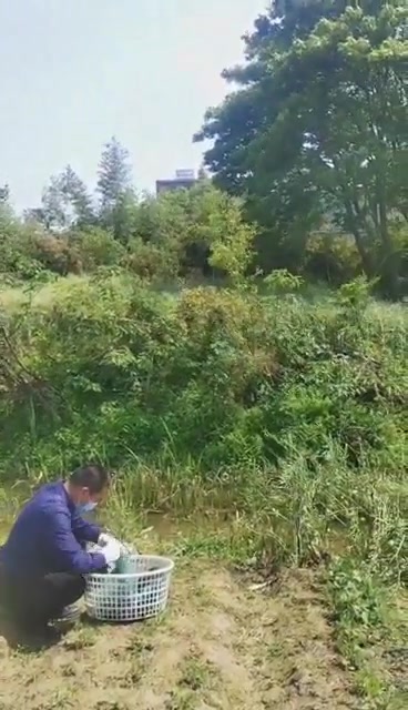 “白衣隐士”折翼、“红头鹭鸶”误闯、“水上精灵”落难,杭州有个派出所忙坏了