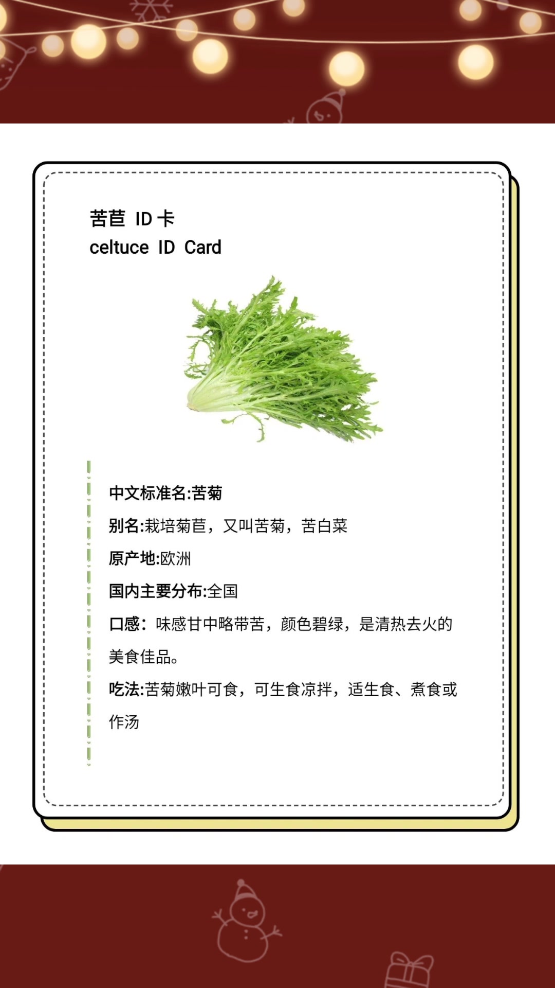 莴笋,贡菜,生菜,油麦菜都属于莴苣大家庭