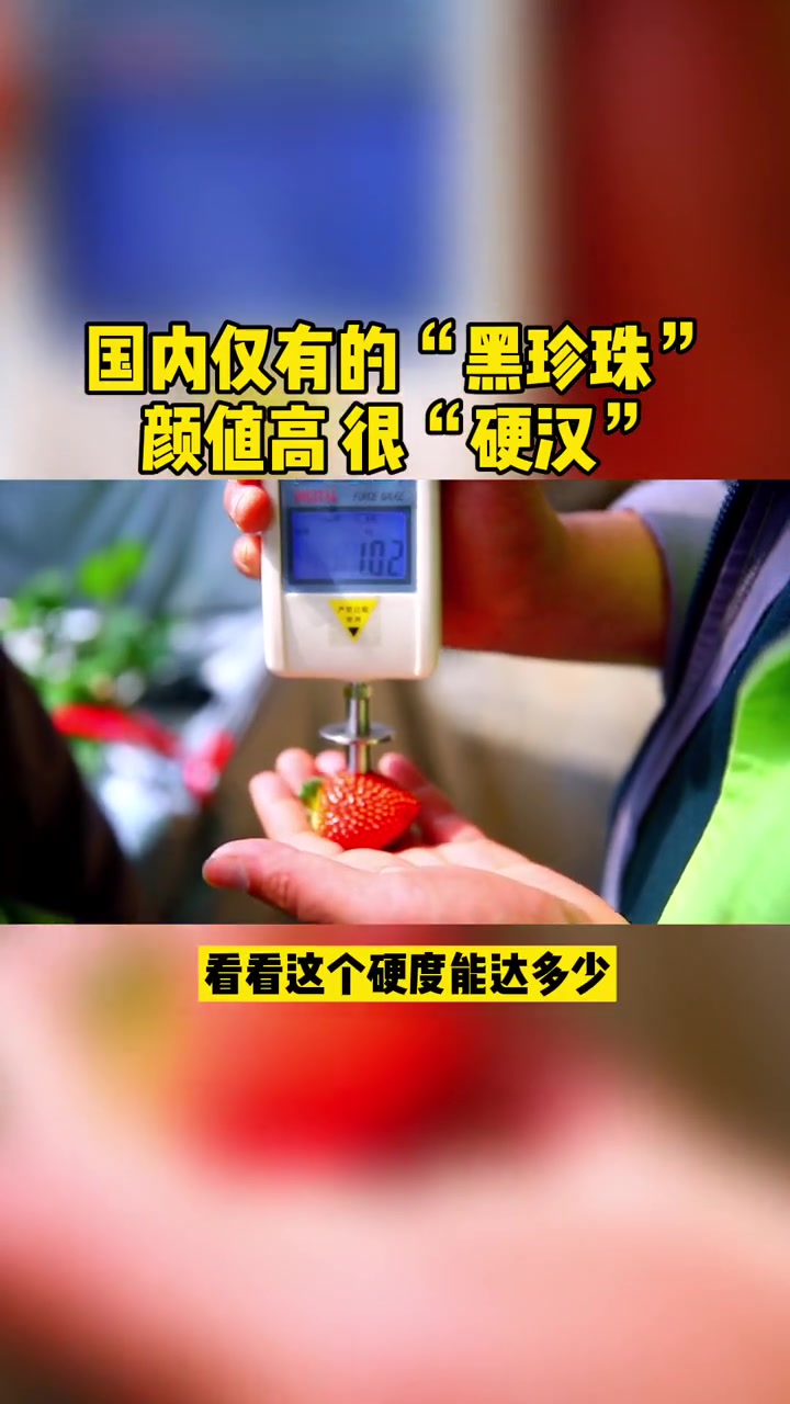 国内仅有的“黑珍珠”,长得好看硬度也高 草莓