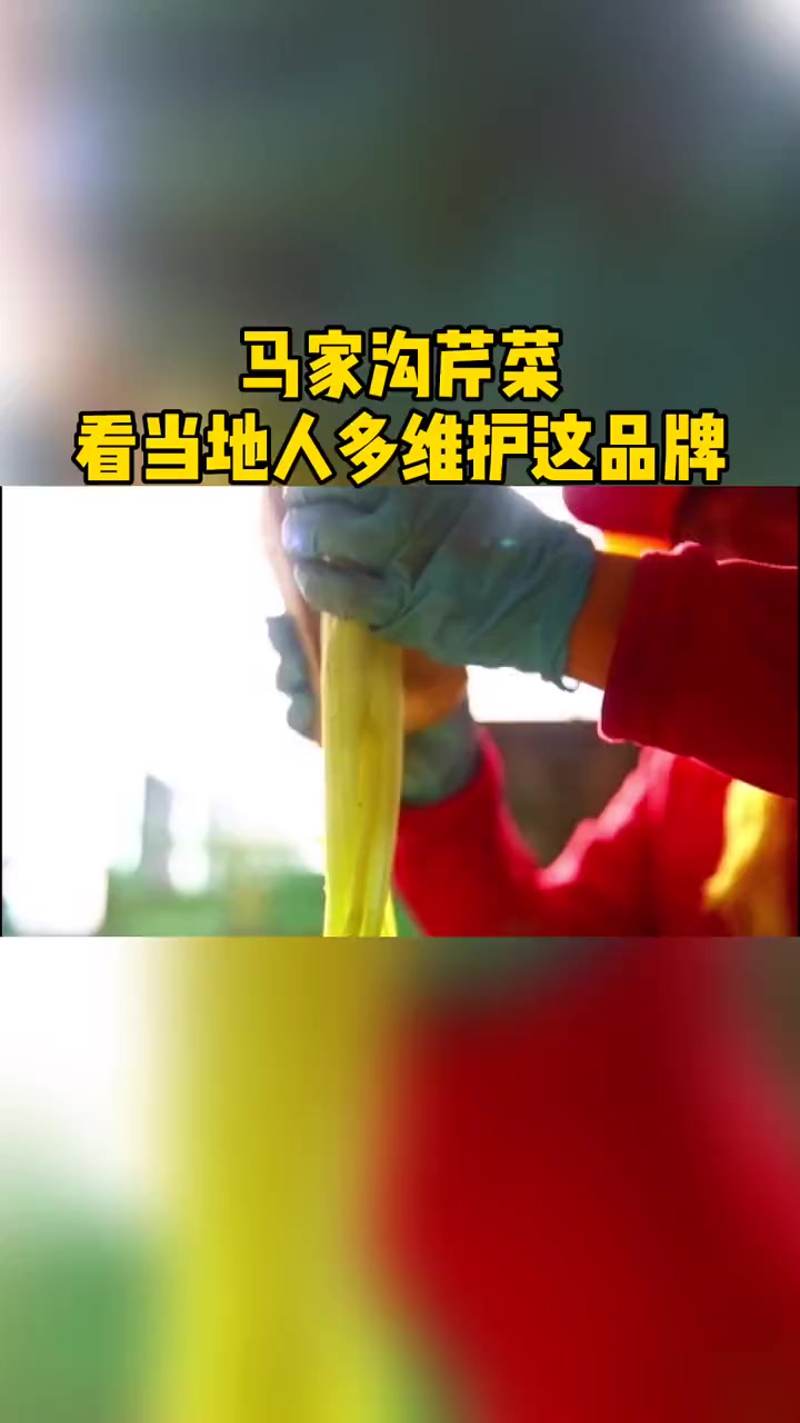 每一棵走出马家沟的芹菜都要干干净净～芹菜 马家沟芹菜