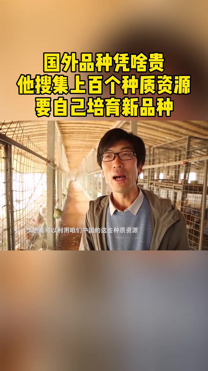 国外品种凭啥贵?他搜集上百个种质资源,要自己培育 观赏鸡 新品种