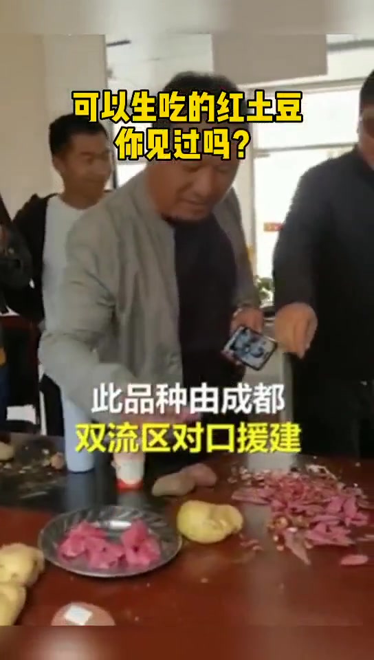 可以生吃的红土豆,你见过吗? 红土豆 土豆