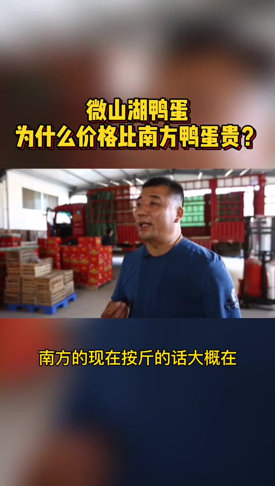 微山湖鸭蛋为什么价格比南方的鸭蛋贵? 鸭蛋