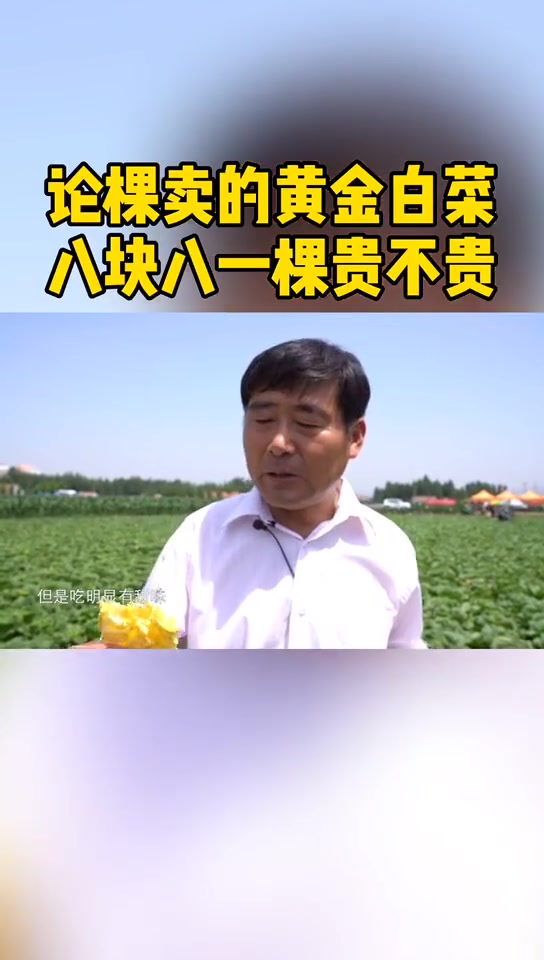 论棵卖的黄金白菜,八块八一棵你觉得贵不贵 白菜