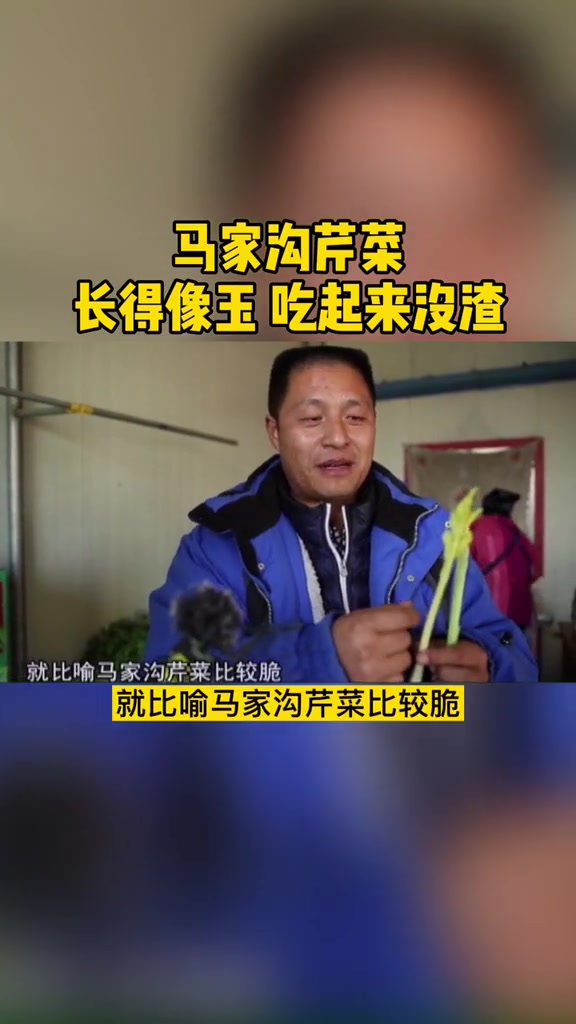 马家沟芹菜,长得像玉,吃起来还没渣～马家沟芹菜