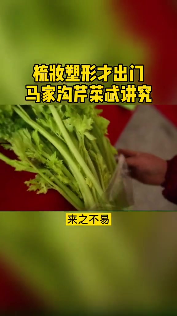 梳妆塑形才出门,马家沟芹菜忒讲究 马家沟芹菜